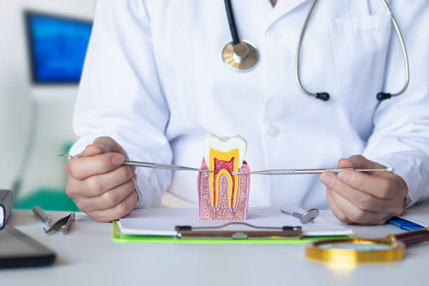 Best Emergency Gum Pain Relief  in Moville, IA
